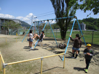 IMG_6810