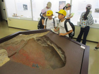 s-IMG_7345