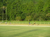 IMG_6093