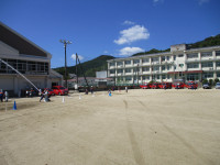 IMG_1537